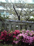 160414_1716~02Ƃ.jpg