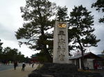 P1030594.JPG