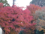 P1060215.JPG