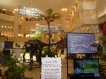 P1070342.JPG