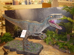 P1070350.JPG