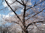 P1080556.JPG