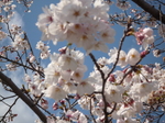 P1080558.JPG