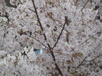 P1080580.JPG