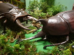 P1080593.JPG