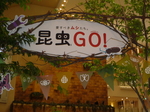 P1080619.JPG