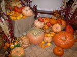 P1090107.JPG