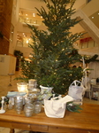 P1090160 (1).JPG