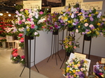 P1090227 (1).JPG