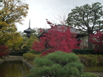 P1090335.JPG