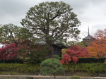 P1090348.JPG