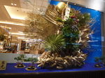 P1100092.JPG