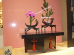 P1100099.JPG