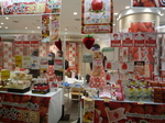 P1100129.JPG